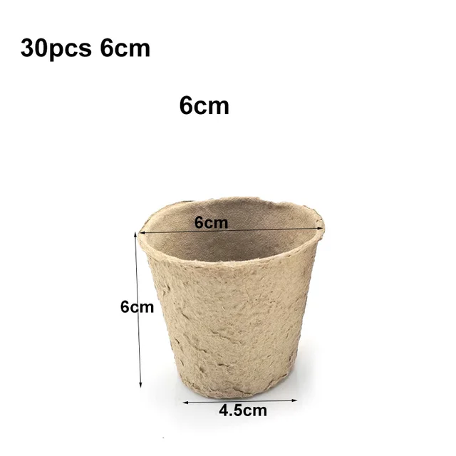 30pcs 6cm