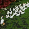 Micro Miniature Landscape Cute Mini Duck Statue Water Landscape Decoration Gardening Accessories Creative Resin Crafts 1