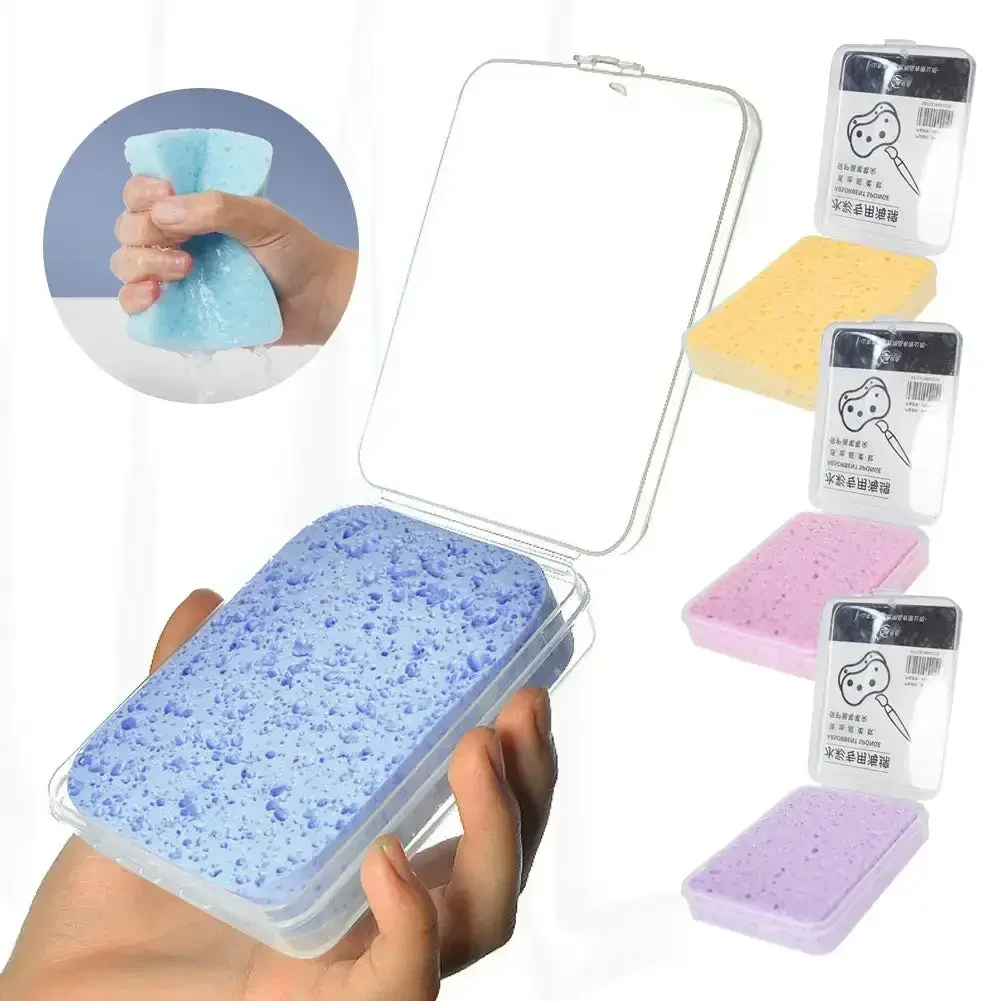Boxed Watercolor Pigment Painting Cleaning Sponge Water Absorbing Painting Sponge Watercolor Painting Sponge Tool Art Supplies 2