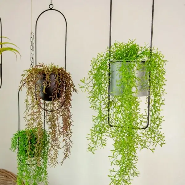 Shop1104053514 Store