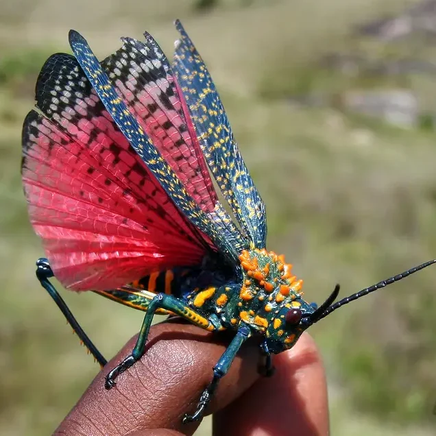 Әйелдің порнографиясын қараңыз Әкесі мен баласы порно