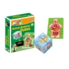 Human Body Organs Cube Book Science Classroom Demonstration Tools Toys Puzzle Human Anatomy Display For Kids Ages 6+ 4