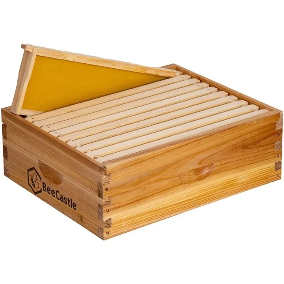 Medium Super Bee Hive Box with Beeswax Frames