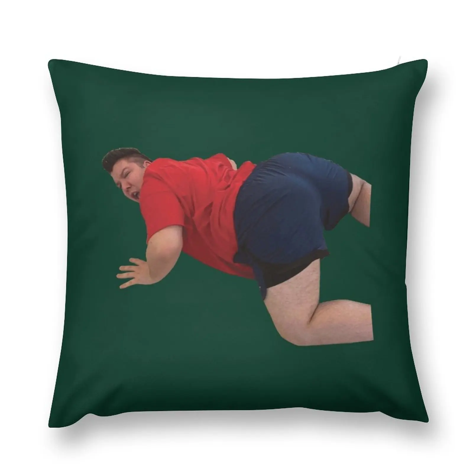 

Nikocado Avocado Meme Throw Pillow Decorative Cushions For Luxury Sofa Embroidered Cushion Cover Sitting Cushion