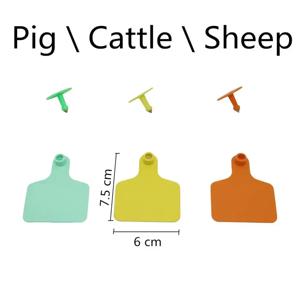 Pig Cattle Sheep
