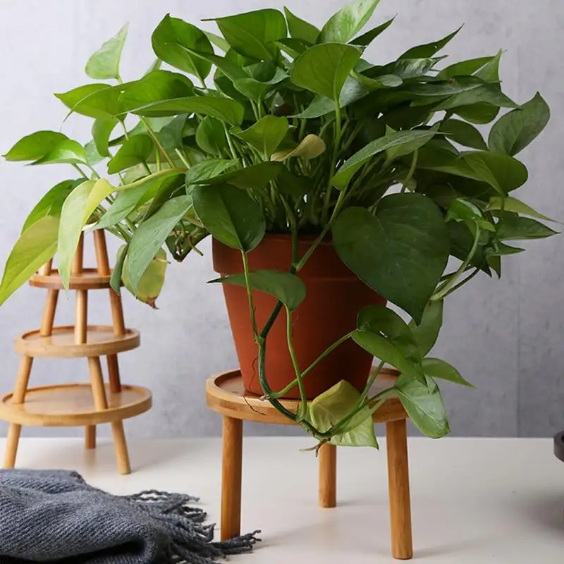 Wooden Stand For Indoor Plant Round High Stool Modern For Living Room Decorative Wooden Side Table Bonsai Holder plant stand,wooden flower shelf
