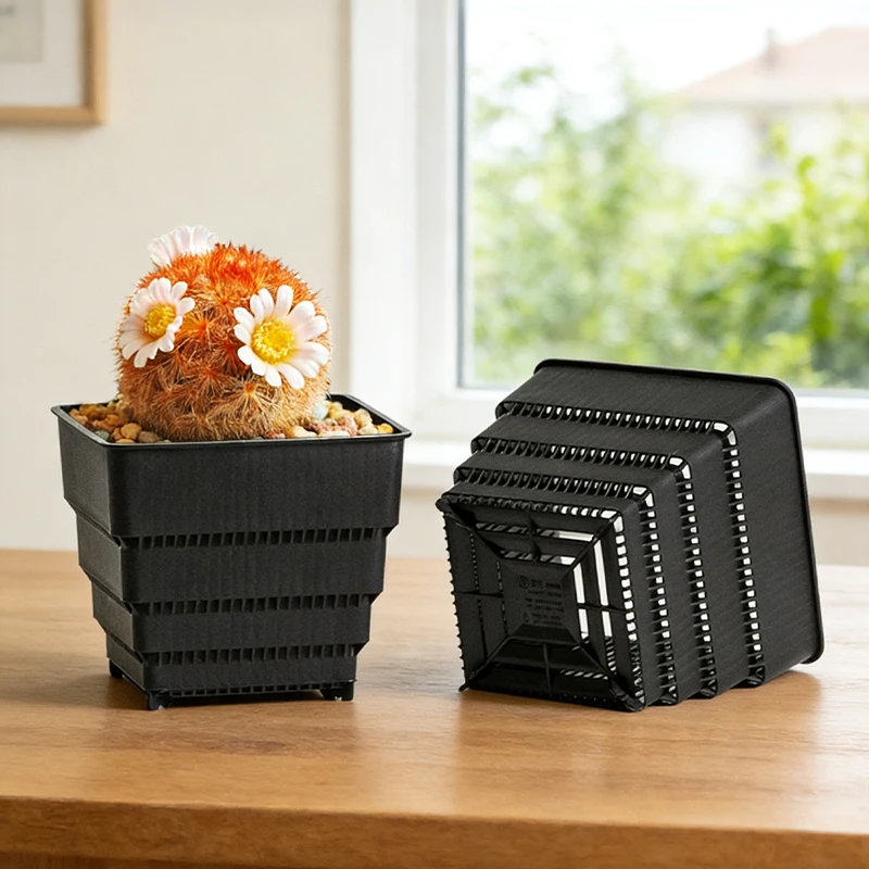 MESHPOT 6-Pack Square Pots for Succulents & Cacti – 360° Breathable holes, Prevent Root Rot,Ideal for Indoor Gardening