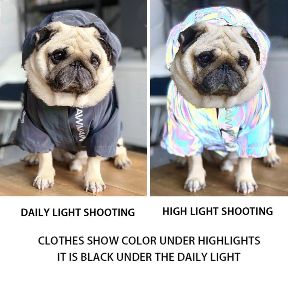 Reflective Hardshell Pet Jacket Polyester Thermal Dog Hoodie Thickened French Bulldog Coat Outdoor Windproof Clothing for