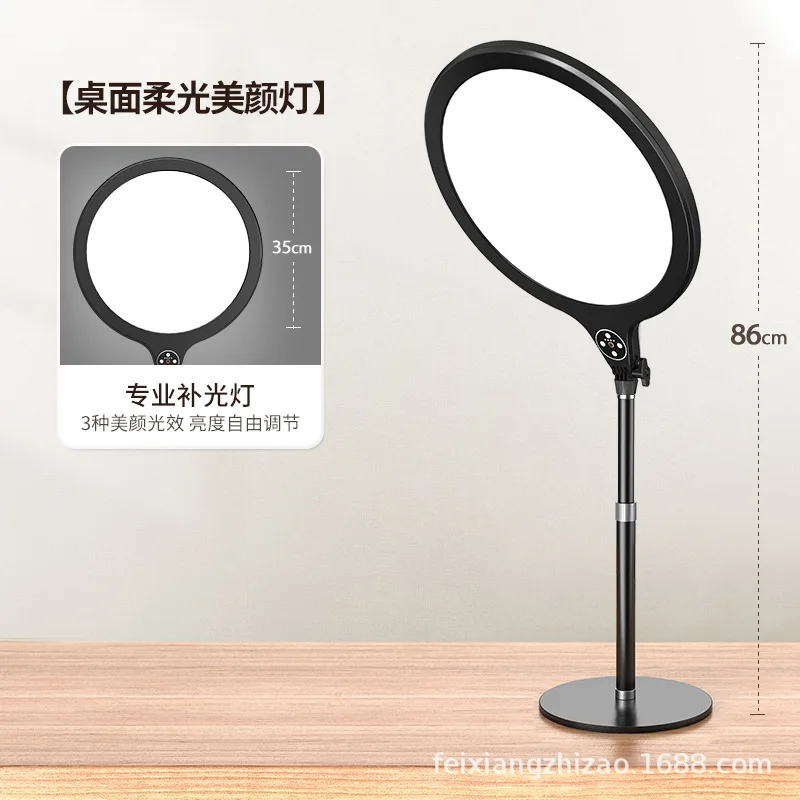 

Indoor TikTok Celebrity Anchor Phone Holder with Floor Stand and Live Streaming Fill Light