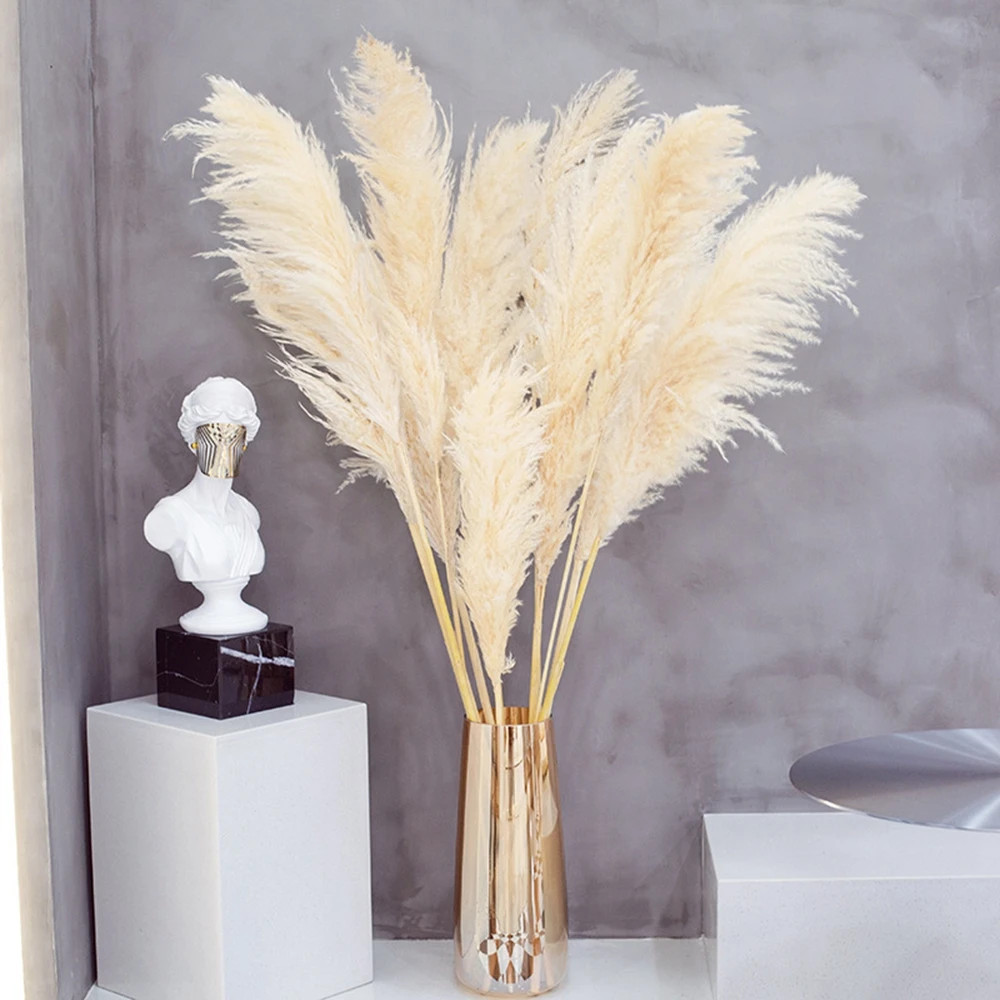 

80cm Pampas Grass Branches for Vase Fluffy Dried Flower Arrangement Decoration for Wedding Natural Dried Plants Flowers Bouquet