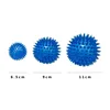 Pet Dog Toys Cat Puppy Sounding Toy Polka Squeaky Tooth Cleaning Ball TPR Training Pet Teeth Chewing Toy Thorn Balls Accessories 5