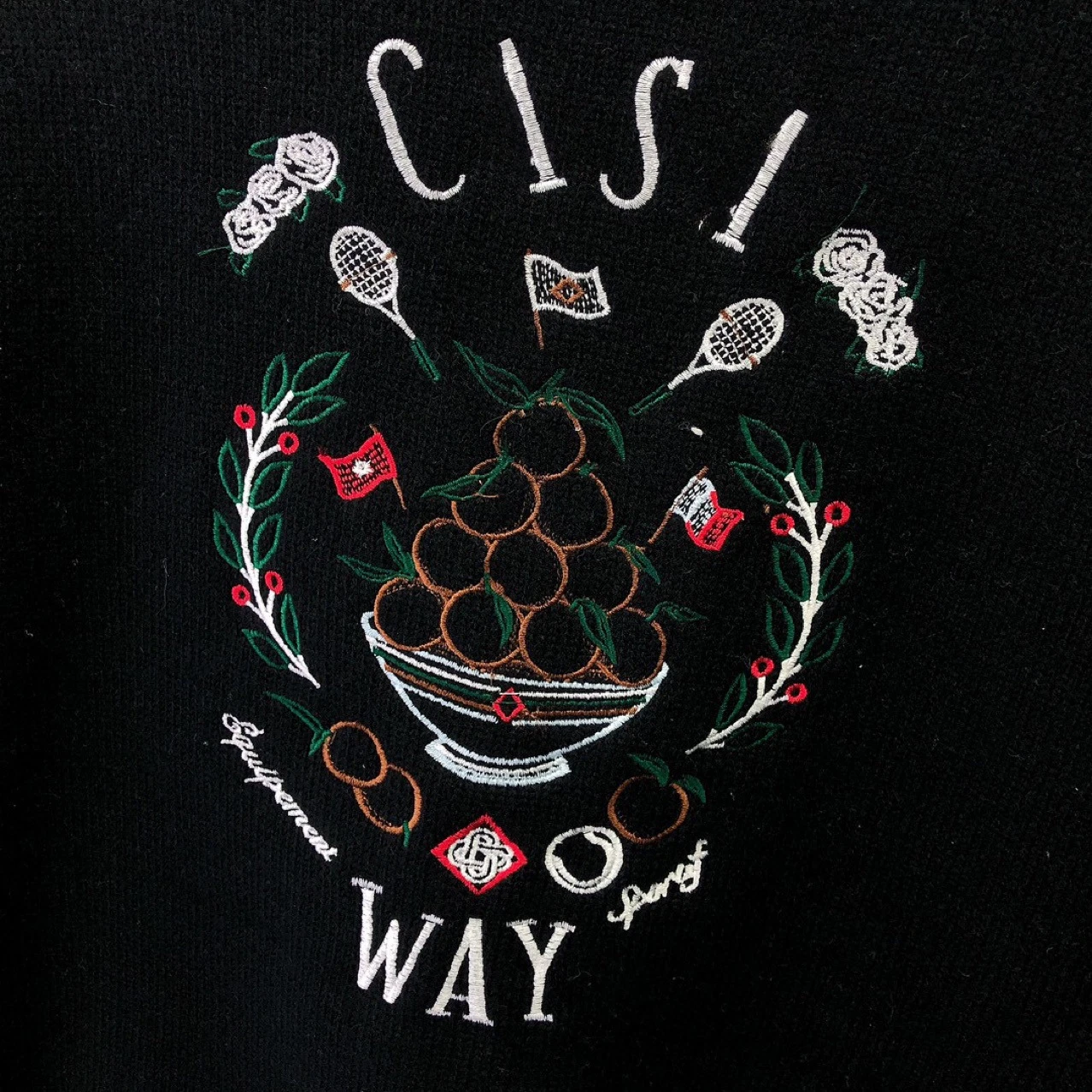 2024 Autumn New Long Sleeved Cardigan Sweater for Men Letters Rackets Flowers Embroidery V-neck Button Coat  Vintage Sweater