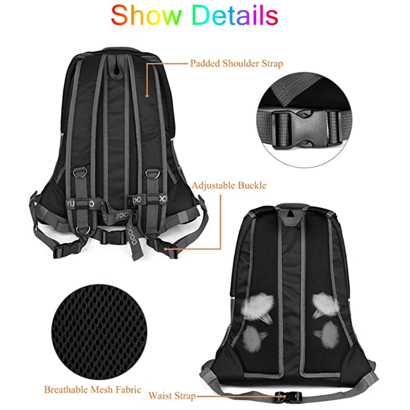 Title 16, Carrying Pet Cat Dog Backpack Out Walking Trave...