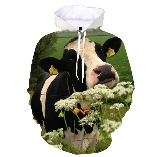  Ǯ 3D    Ʈ ĵ,   Ƶ  м,   ž,  