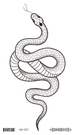 Image 22
