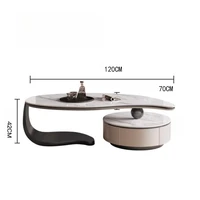 Modern Light Luxury Coffee Table – Minimalist Designer Aesthetic, Unique Side Table, Decorative Accent Furniture - Image 6