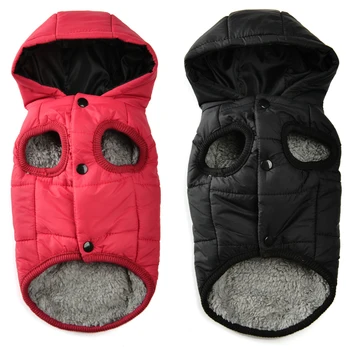 Veste d'Hiver Luxe à Capuche pour Petit Chien : Manteau Chaud & Imperméable - 2025 - Doglovedesign : Vêtement et accessoires pour chiens