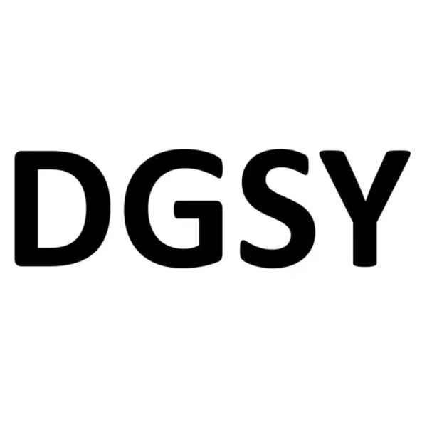 DGSY Store