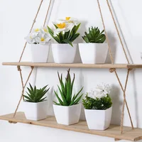 6PCS, artificial plants small bonsai, DIY crafts desktop windowsill display rack display decoration 3