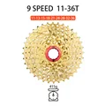 9s 11-36T Gold