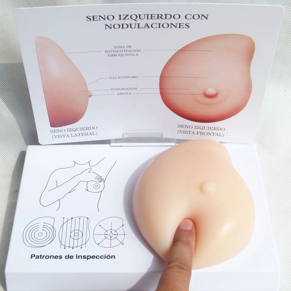 Breast Self-Exam Training Model 2