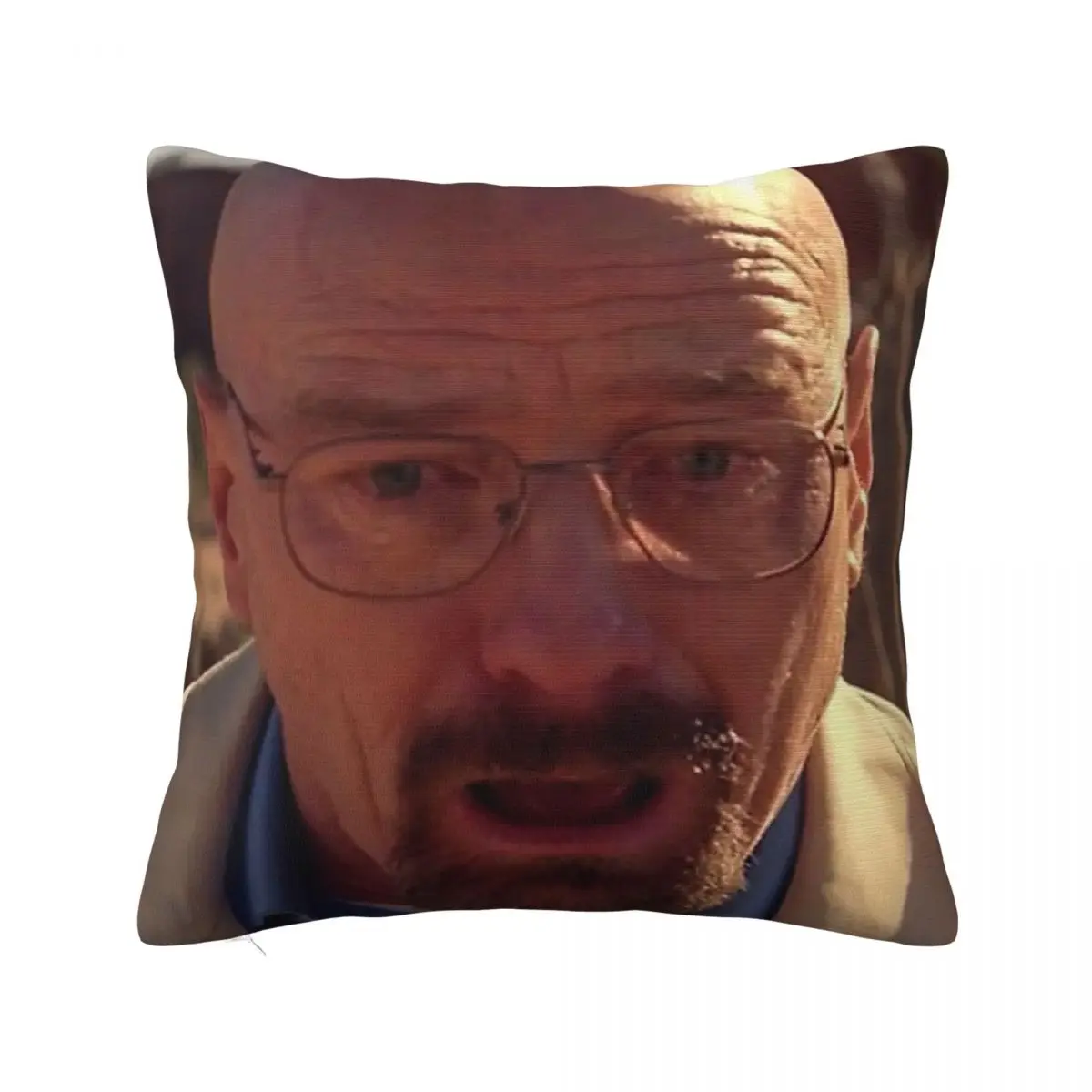 Walter White Meme Breaking Bad Pillowcase Soft Fabric Cushion Cover Decorative Pillow Case Cover