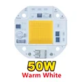 Warm White 50w