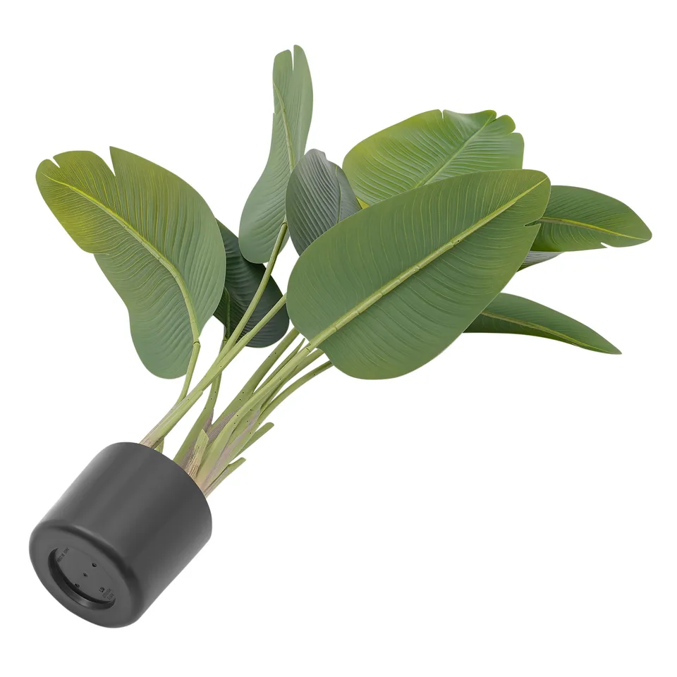 Artificial Traveler Banana Leaf Plants for Home Office