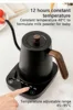 110V 220V 1000W 800ml Temperature Control Hand Brewing Kettle Intelligent Constant Temperature Electric Kettle Coffee Tea Milk 2