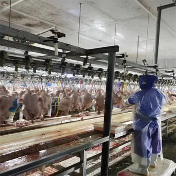 Uccidi la linea di lavorazione Nuovo design Pollo Tacchino Anatra Oca Pollame Attrezzatura per macellazione