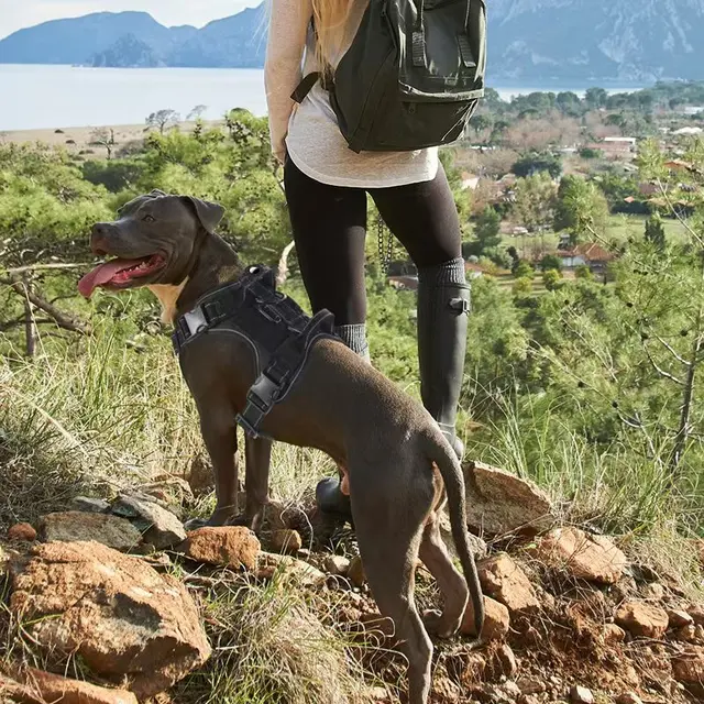 No Pull Dog Harness with Locator Silicone Protective Cover Anti slip Adjustable Pet Chest Harness for Medium & Large Dogs 4