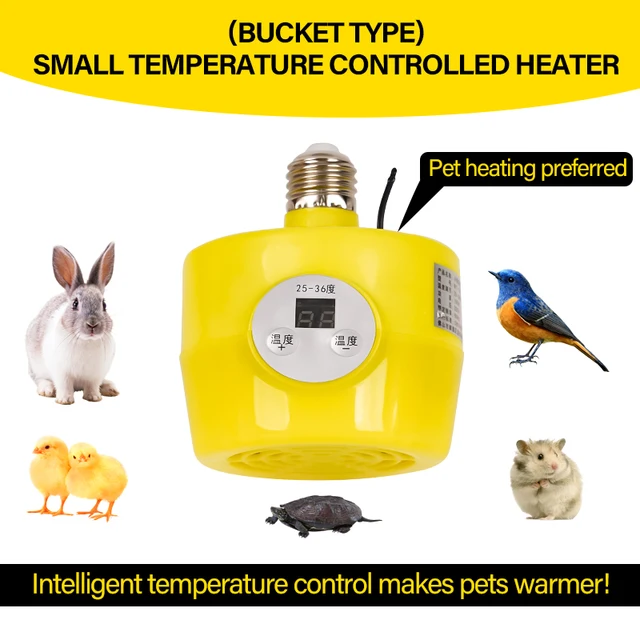 겨울에 애완 동물을 따뜻하고 편안하게 지켜주는 완벽한 솔루션