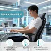 Car Seat Office Chair Back Lumbar Support