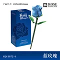 3072-4 blue