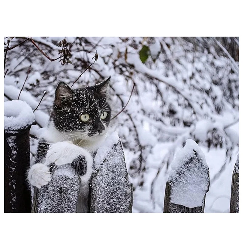 

Набор для алмазной вышивки «Кот»