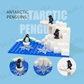 Antarctic penguins