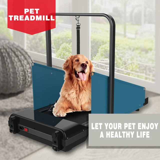 Kingtale Adorable Indoor Dog Exercise Machine Gym Equipment Pet
