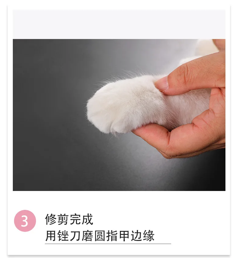 Title 13, Professional Pet Nail Clipper Scissors For Dog ...