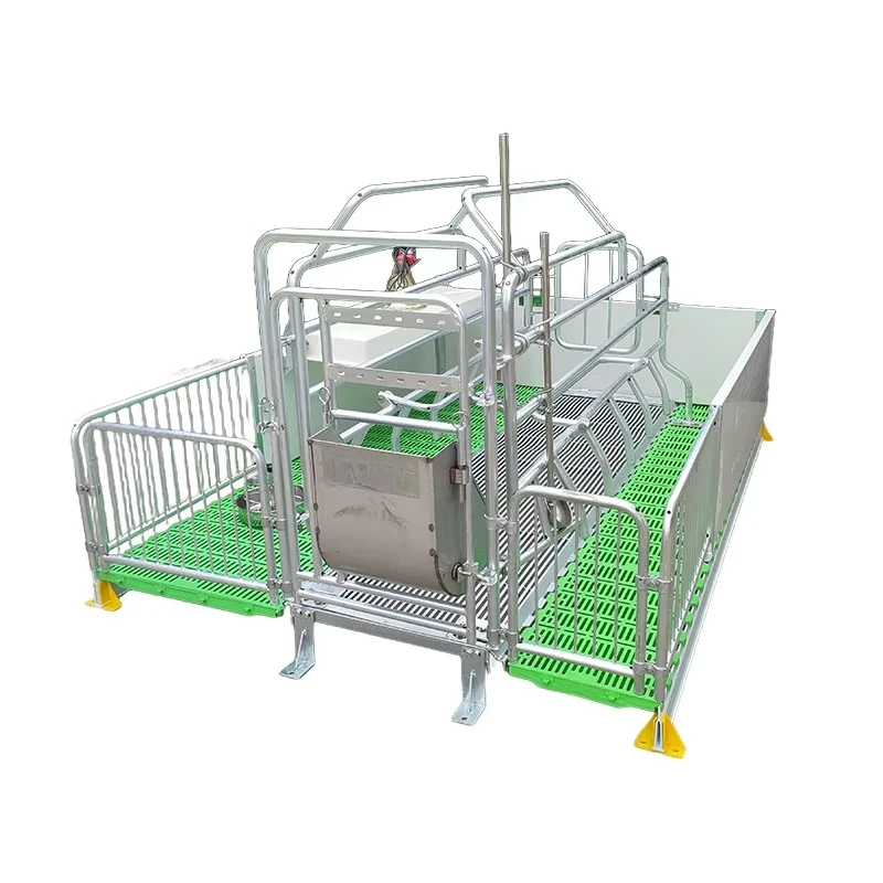 Complete pig rearing equipment with cages and cages for efficient care ...