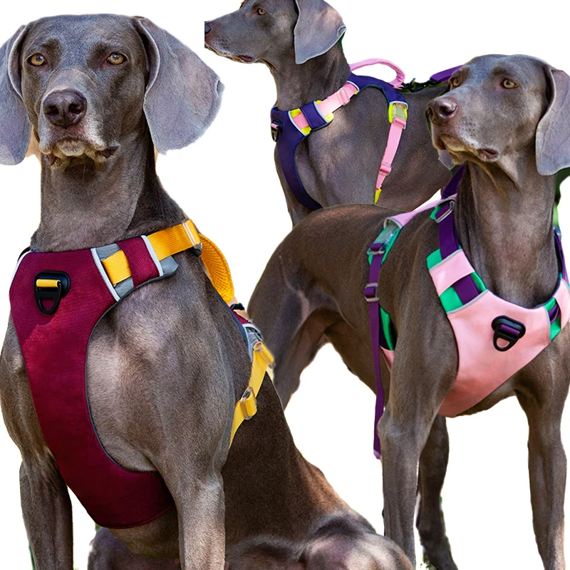 

2022 Dog Harness Adjustable Liftable Harness for Weimaraner Reflective Pet Leads Vest for Medium Large Dog S~XL Suitable Harness
