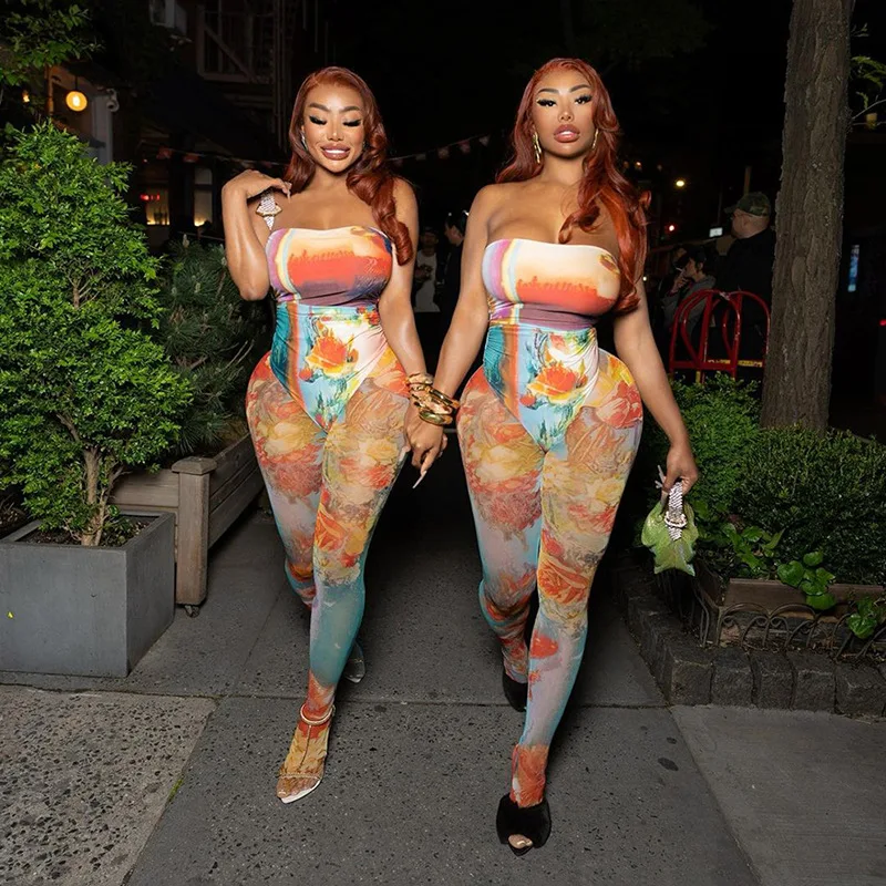 Aesthetic Print Sheer Mesh 2 Piece Set Women Club Outfits Long Sleeve  Bandana Bodysuit Top And Bodycon Pencil Pants Matching Set - Pant Sets -  AliExpress