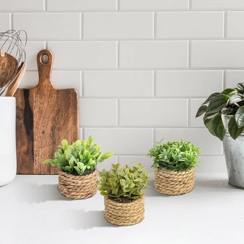 XIYA Eucalyptus Potted Plant 10