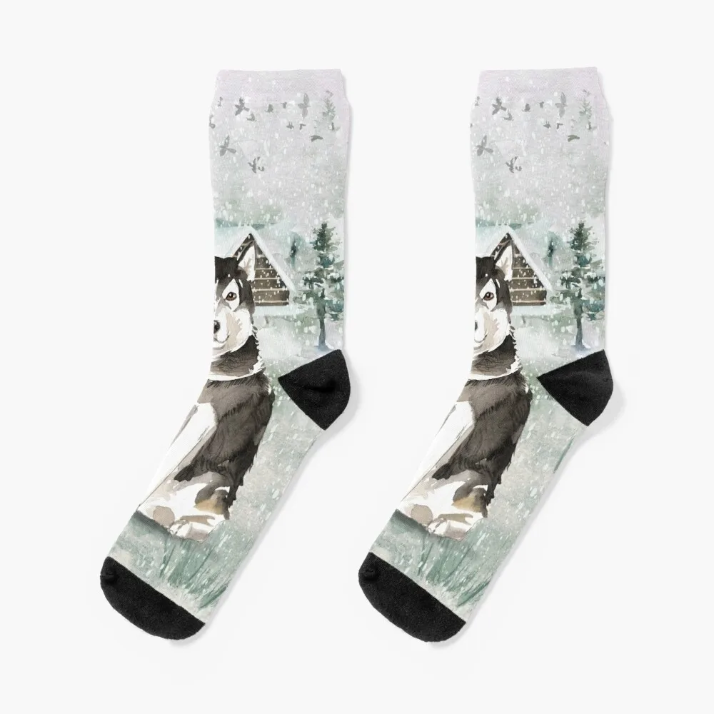 Alaskan Malamute Socks New year's socks floor socks halloween socks funny gift Men Socks Women's