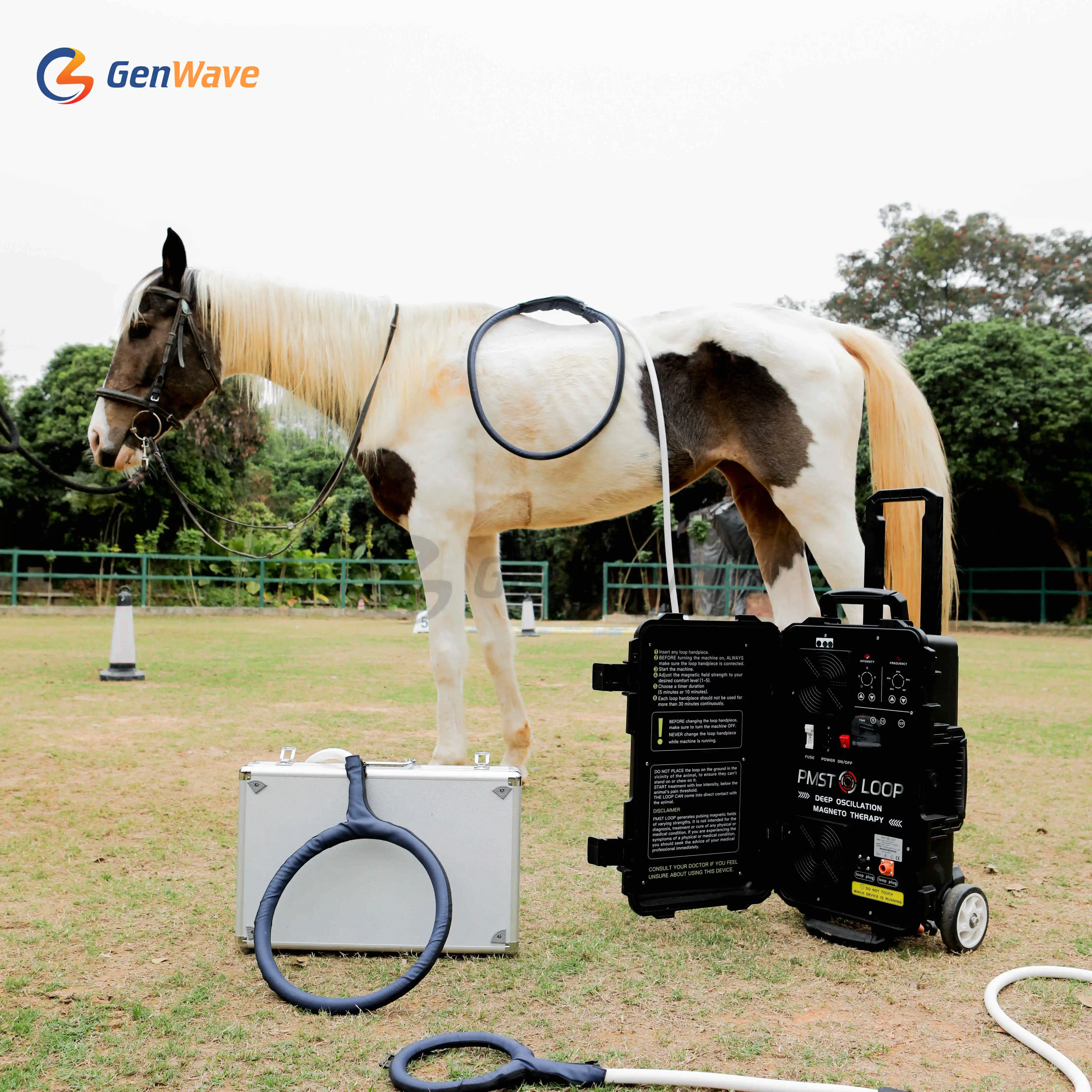 Equine Portable Magneto Therapy Pemf Physio Magneto Horse Pmst Loop Per Cavalli Animali Muscle Issue Pemf Machine
