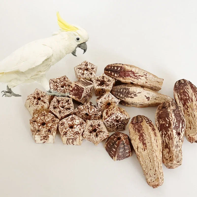 Natural Material Pet Parrot Toy Bird Paw Grinding Biting Wooden Toys Pet Parrot Macaw Hammock Bird DIY Toy 3