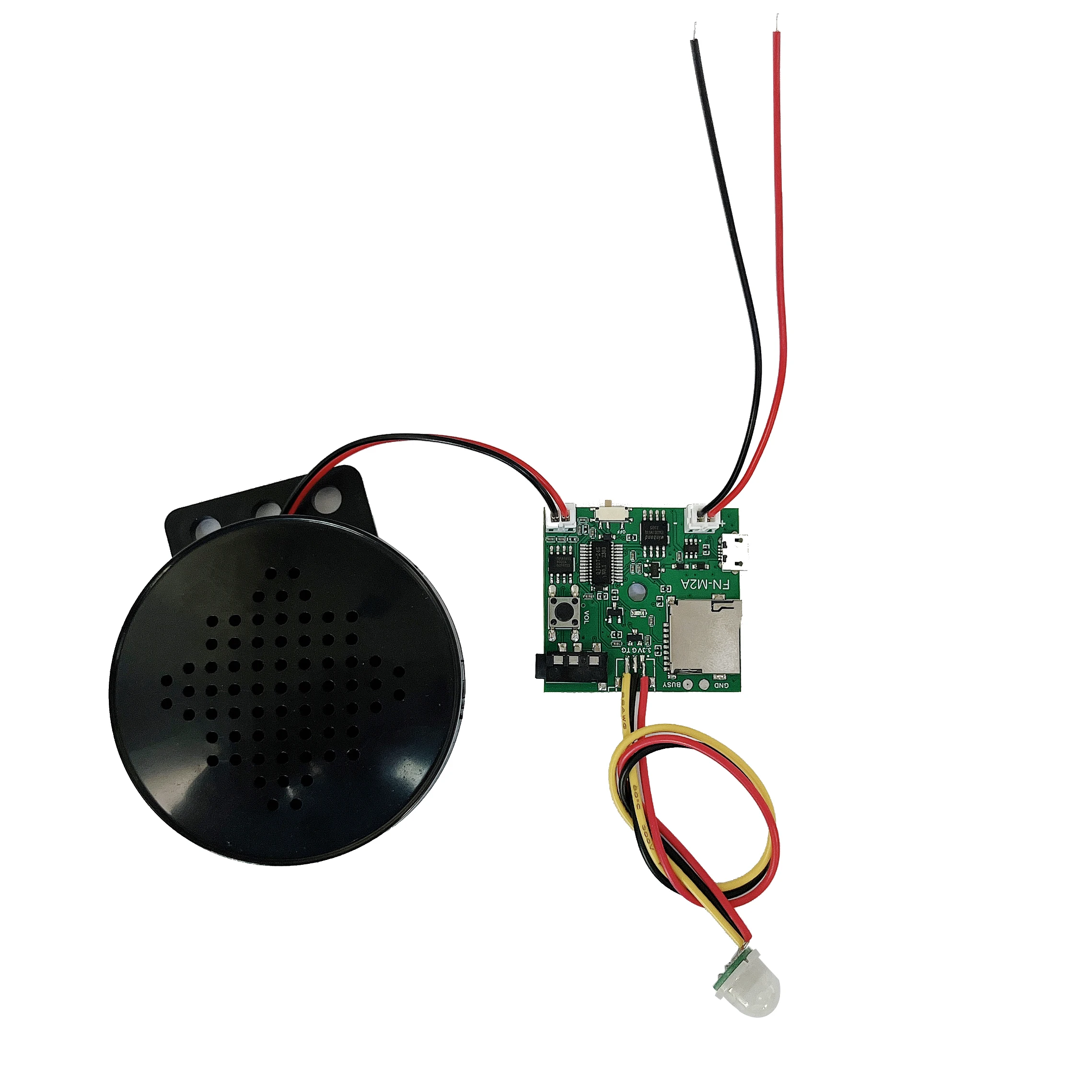 PIR Motion Activated Speaker for Statue Motion Sensor Activated Voice Player Talking Payer for Artwork or Exhibit
