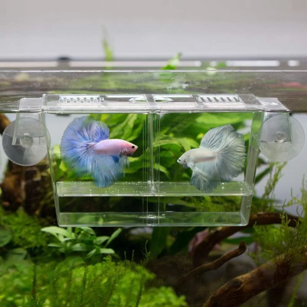Acrylic Fish Tank Breeding Breeder Isolation Box Aquarium Fish Hatchery Incubator Grow Seedling Reproduction Holder for Fry