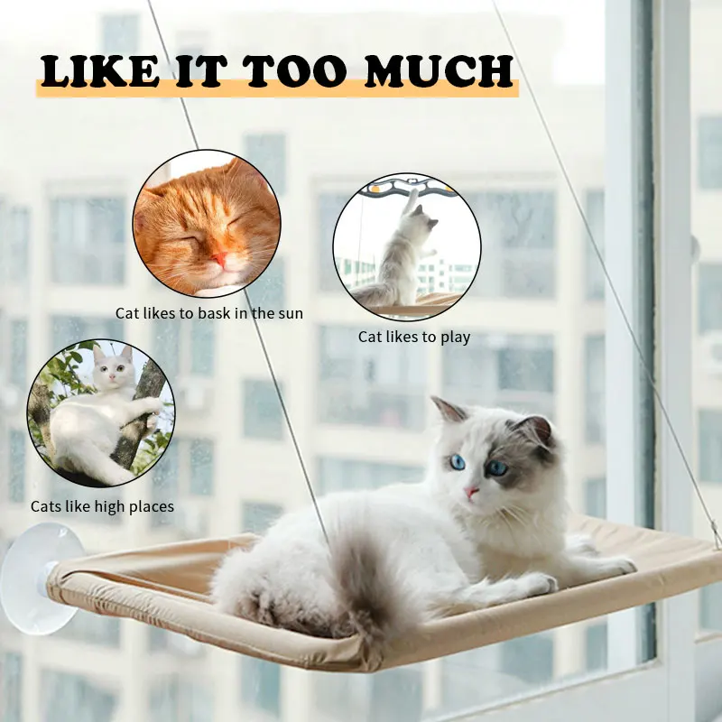 Cat Window Perch 4