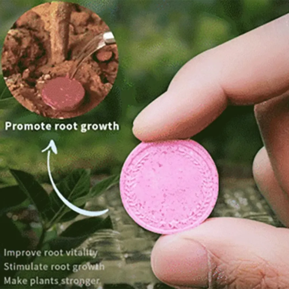 1/3 Bottles Slow-Release Tablet Organic-Fertilizer Plant Growth Nutrition Tablets For Garden 5