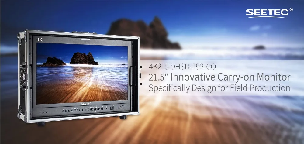 4K215-9HSD-192-CO 21.5 Inch IPS FHD 1920x1080 Carry-on Broadcast Monitor with 3G